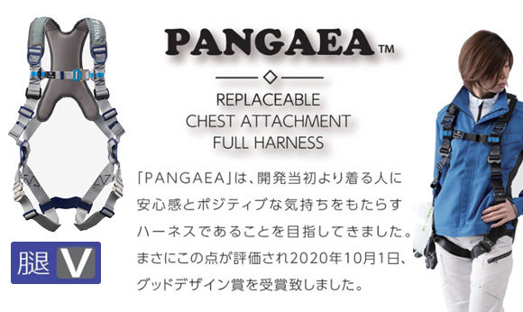 パンゲアハーネス PACN-10A 胴ベルトなし