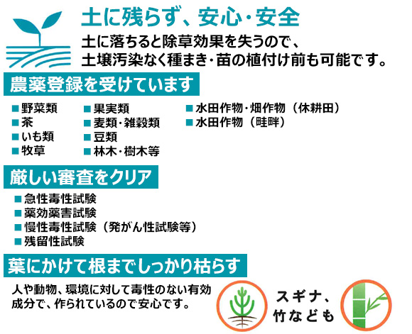 サンフーロン